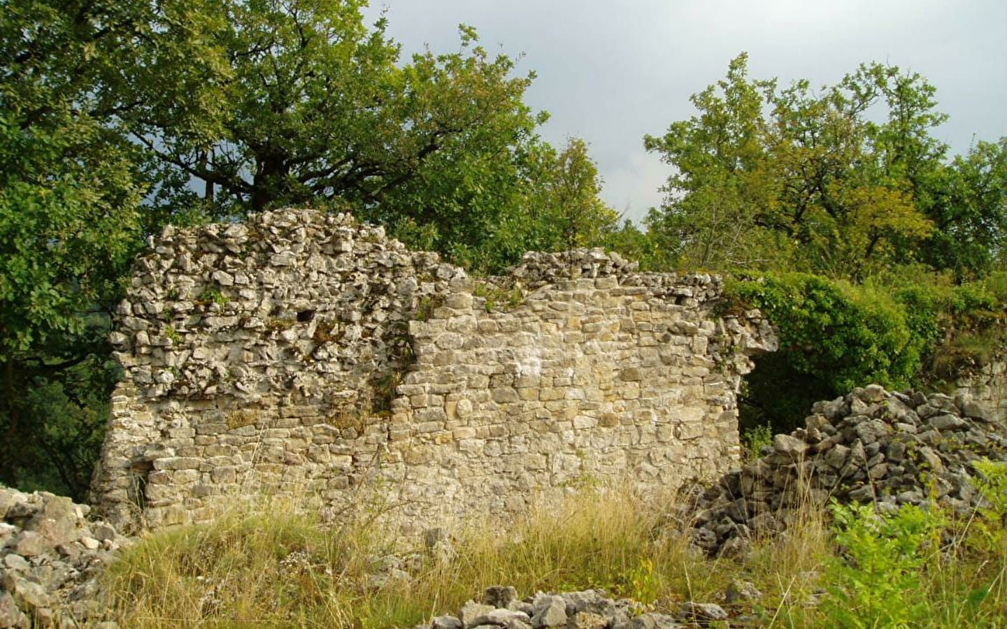 Site de Châteauneuf à Songieu