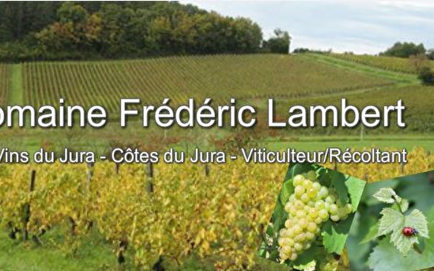 Domaine Frédéric Lambert
