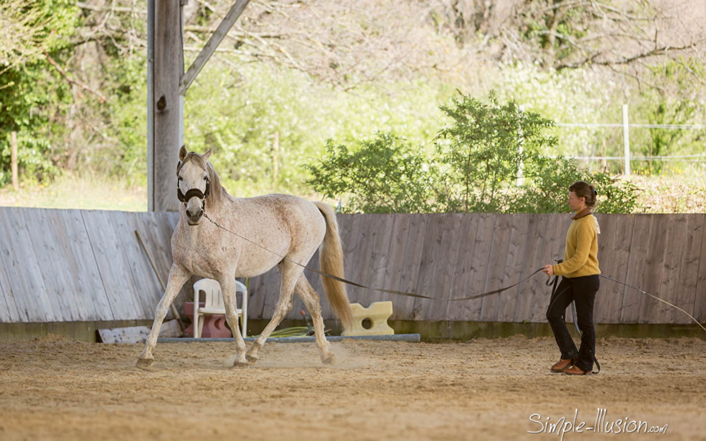  Et si nous écoutions les chevaux : stage équestre 2 jours