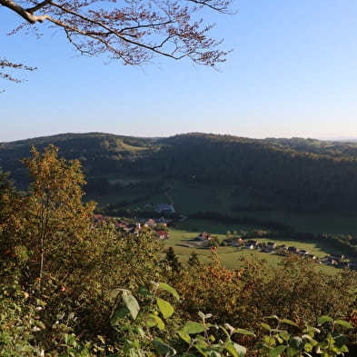 La Route des Sapins