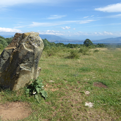 Randonnée pédestre : Grilly - le Mont Mourex