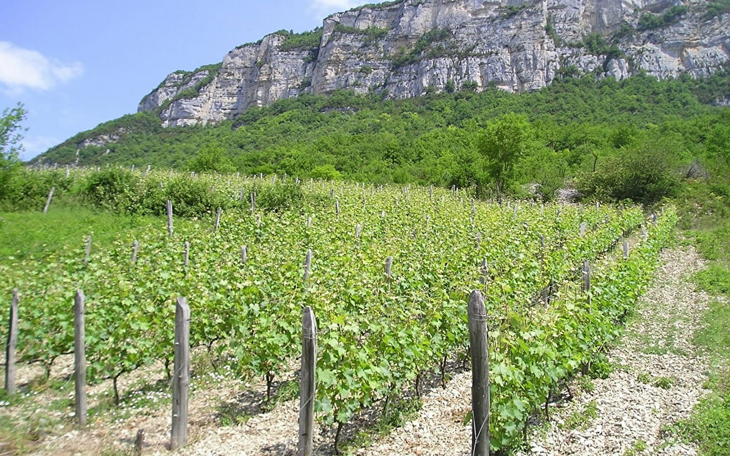 Les Grangeons de l'Albarine