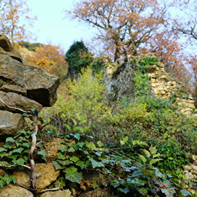 Vestiges du Château de Saint-Germain