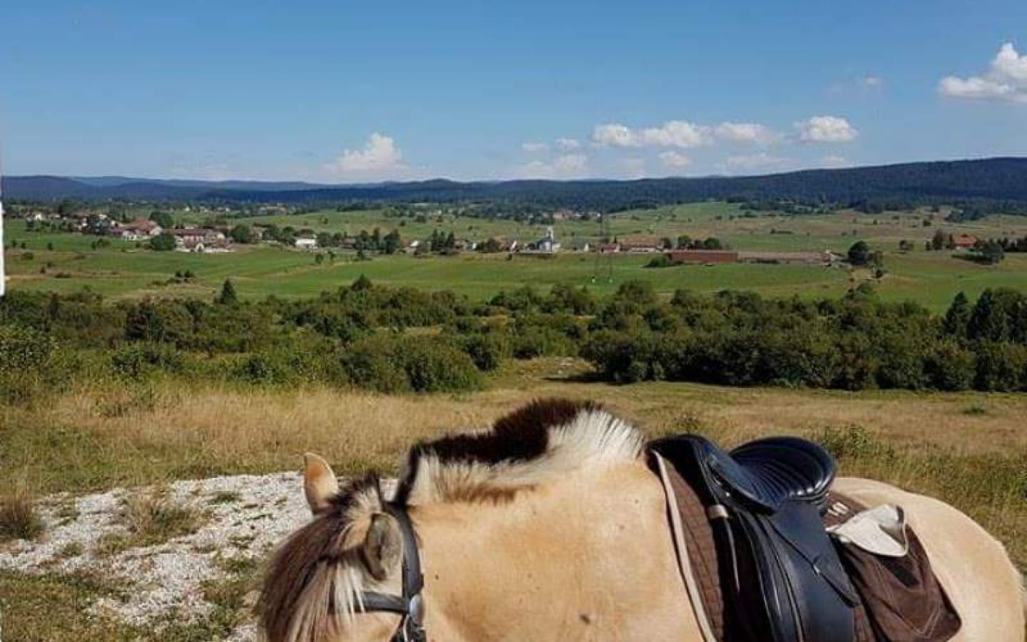 Les Attelages du Grandvaux