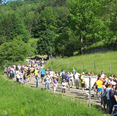 41ème Montée Internationale du Poupet