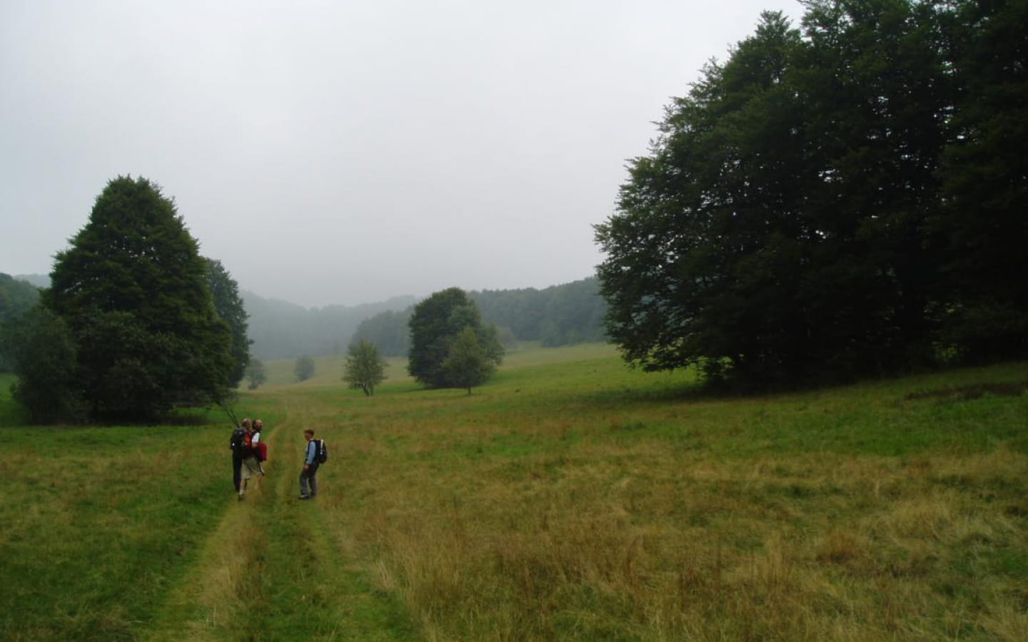 Le Plateau de Retord