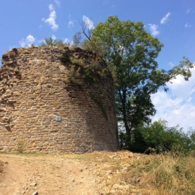 Vestiges du Château de Saint-Germain