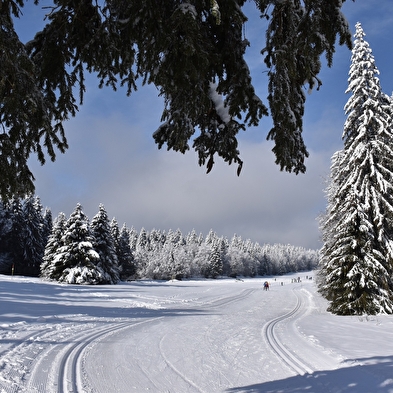 Piste verte de ski de fond du Plateau de Retord : La Vezeronce