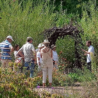 A la découverte des plantes sauvages de la Saline