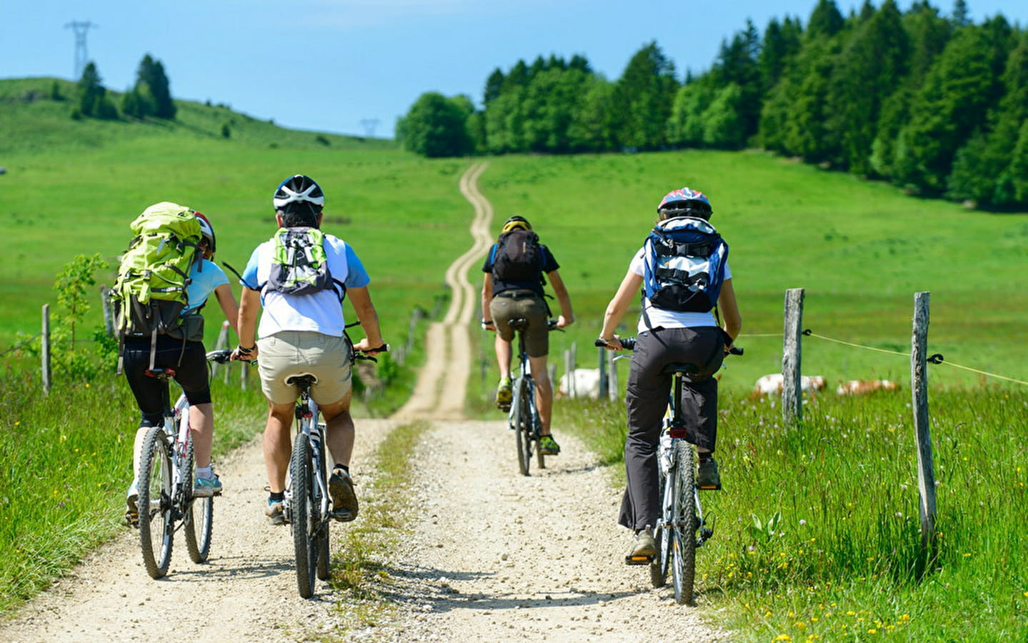 Excursion à VTT dans le vignoble arboisien