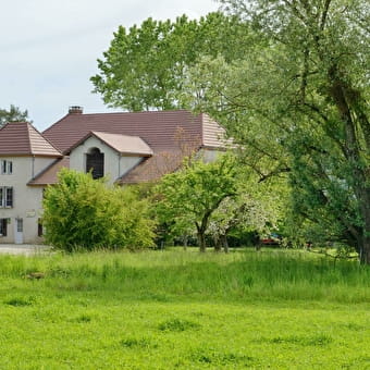 Gite du Fourmilion - VILLERS-FARLAY