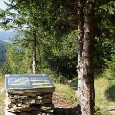 Sentier des Diots du Jura 