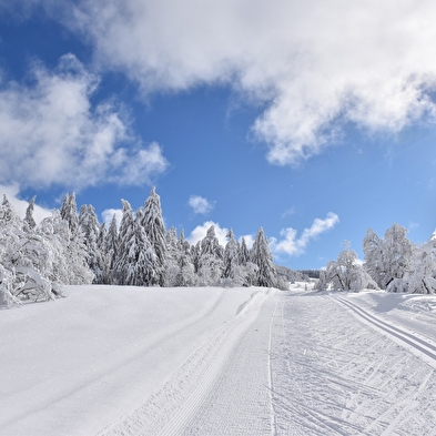 Piste noire de ski de fond du Plateau de Retord : Le Tour du Retord