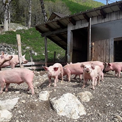 Visite de la Chèvrerie de Noire Combe