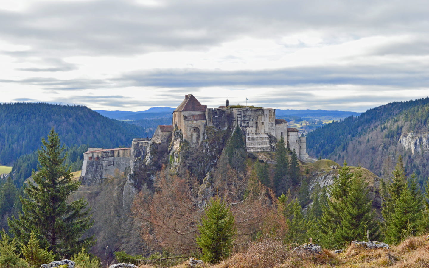 Château de Joux