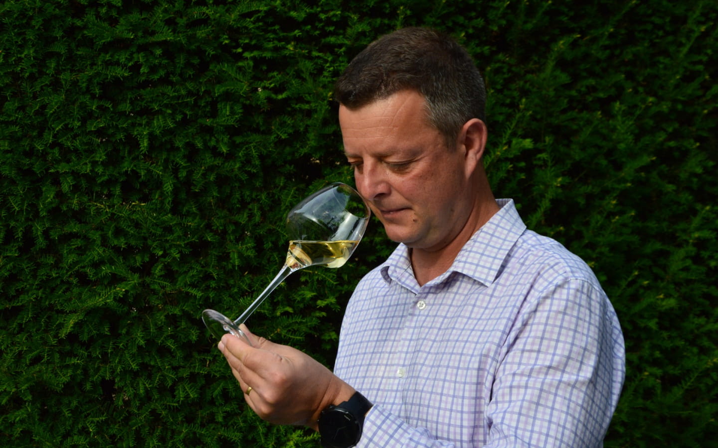 Atelier des Copains : les vins de la Vallée du Rhône