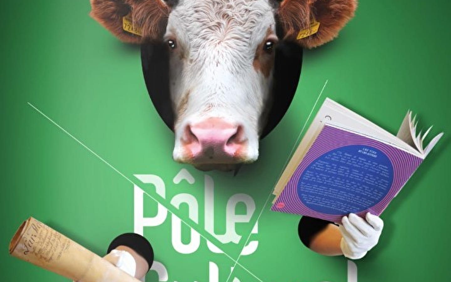 Programme culturel de la Ville de Montbéliard