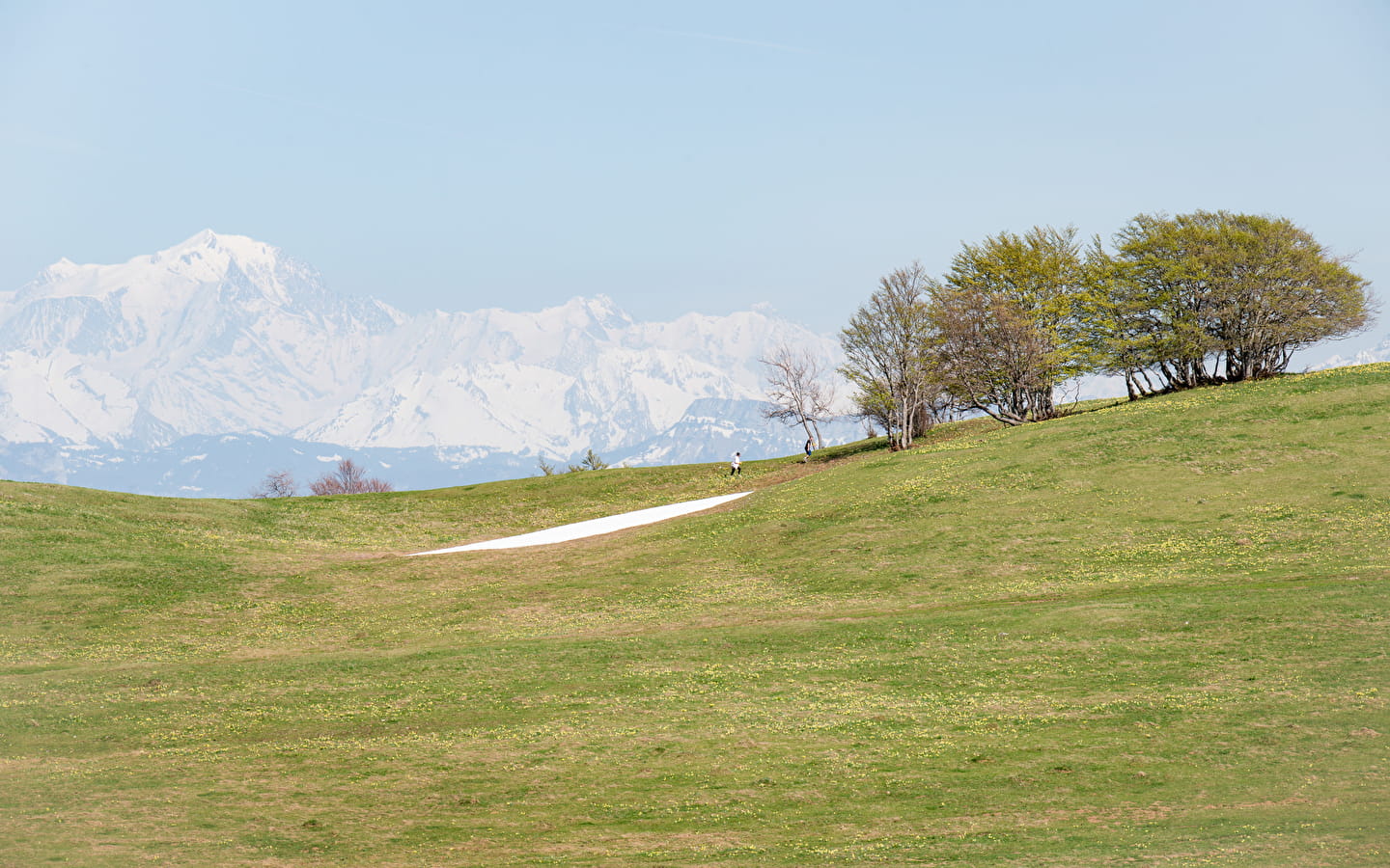 Grand Colombier, ENS de l'Ain