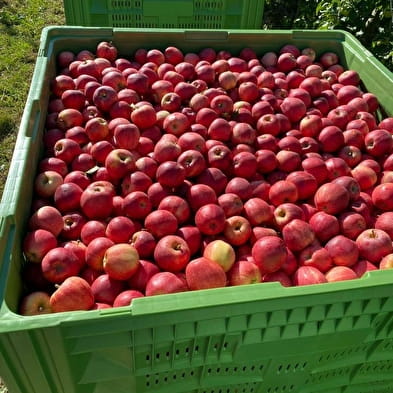 Les Pommes du Sauget