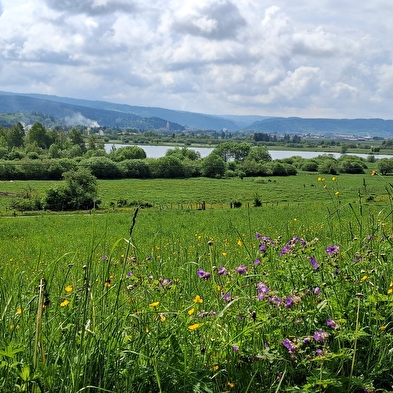 La Côte du Fol - n°106