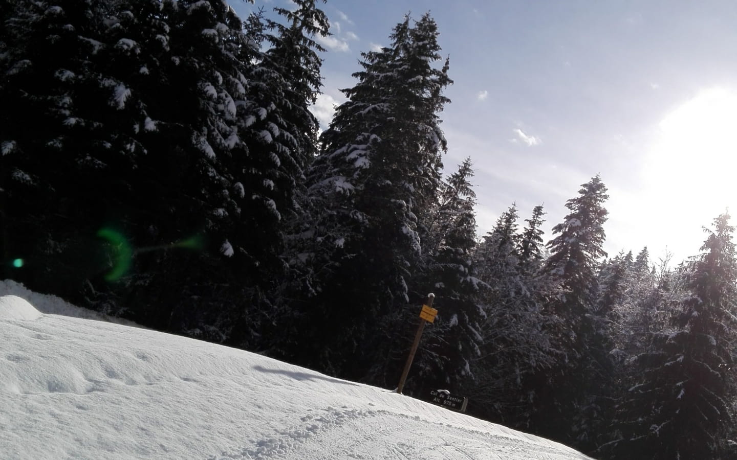 Piste bleue de ski nordique - Apremont