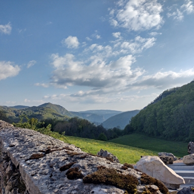 Bar associatif - Le jardin café