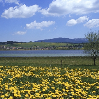 Tour du Lac de Saint-Point - OYE-ET-PALLET