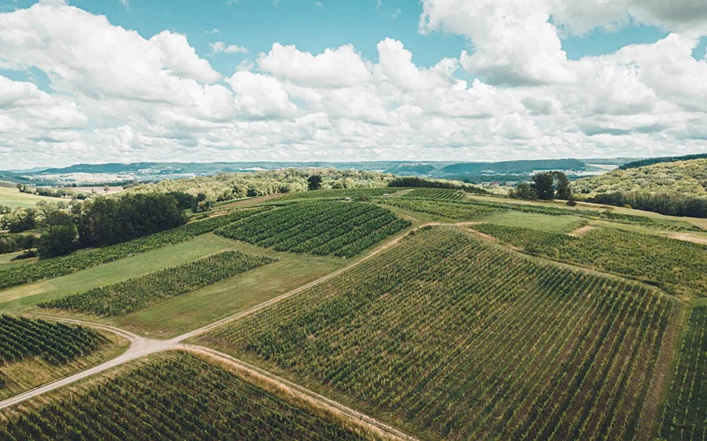 Domaine Bourdy