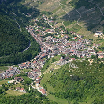 Cerdon, village viticole - CERDON