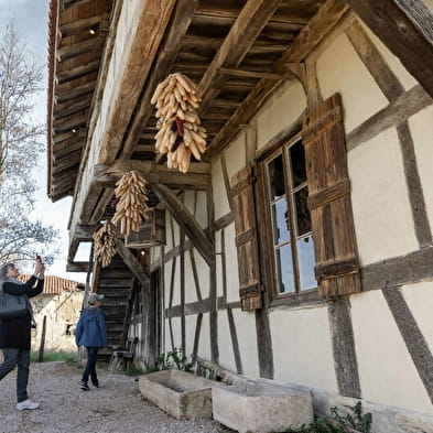 La Ferme de la Forêt