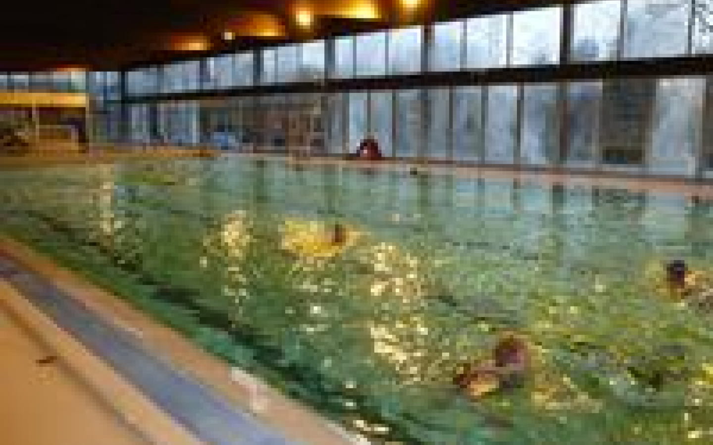 Piscine intercommunale de Belley