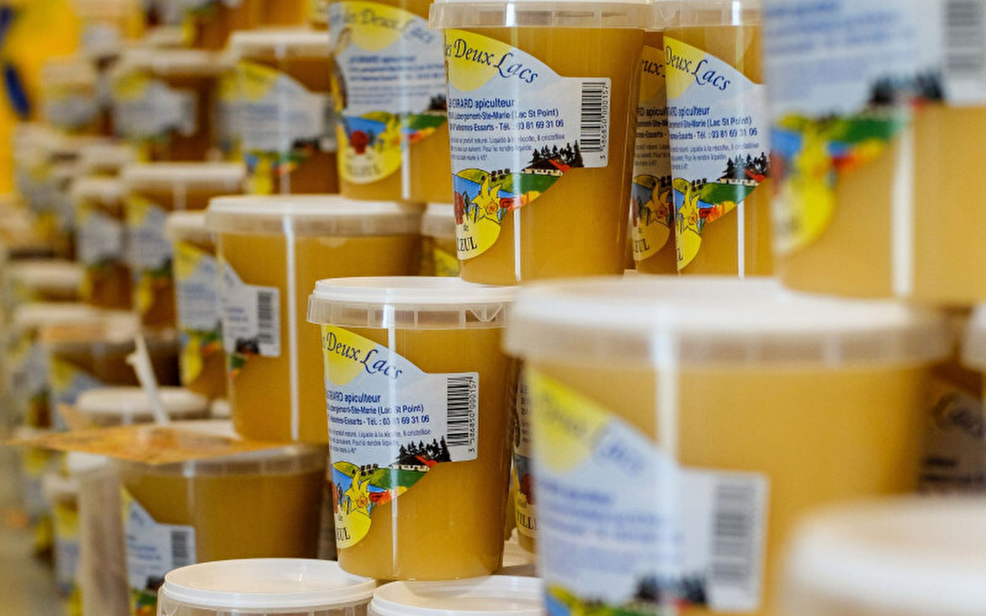 Visite guidée du Rucher des 2 Lacs