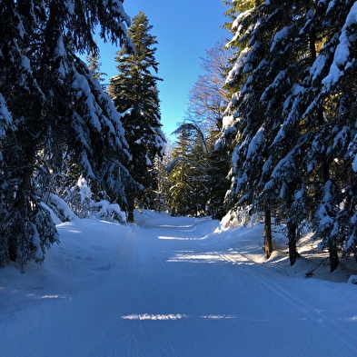 Piste verte de ski de fond de Lachat : Les Plânes