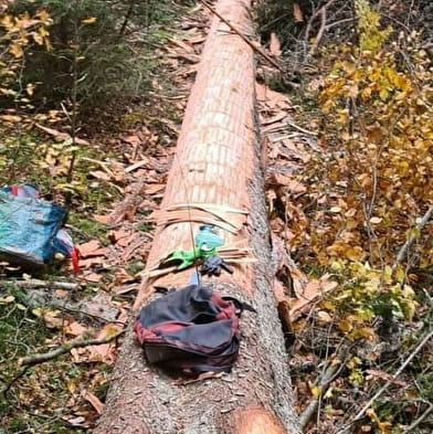 Découverte du métier de 'Sanglier'