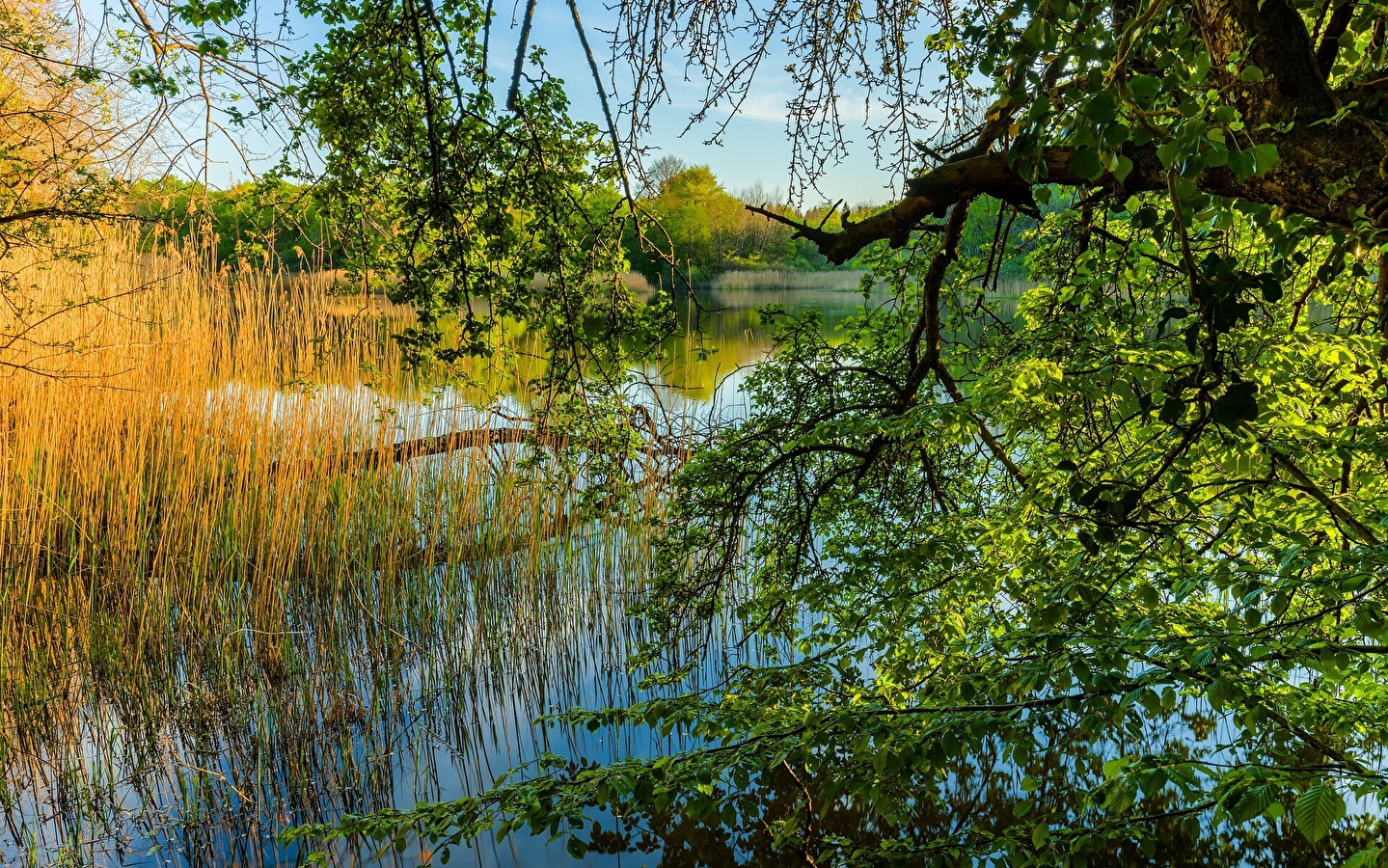 Le sentier Jacquot
