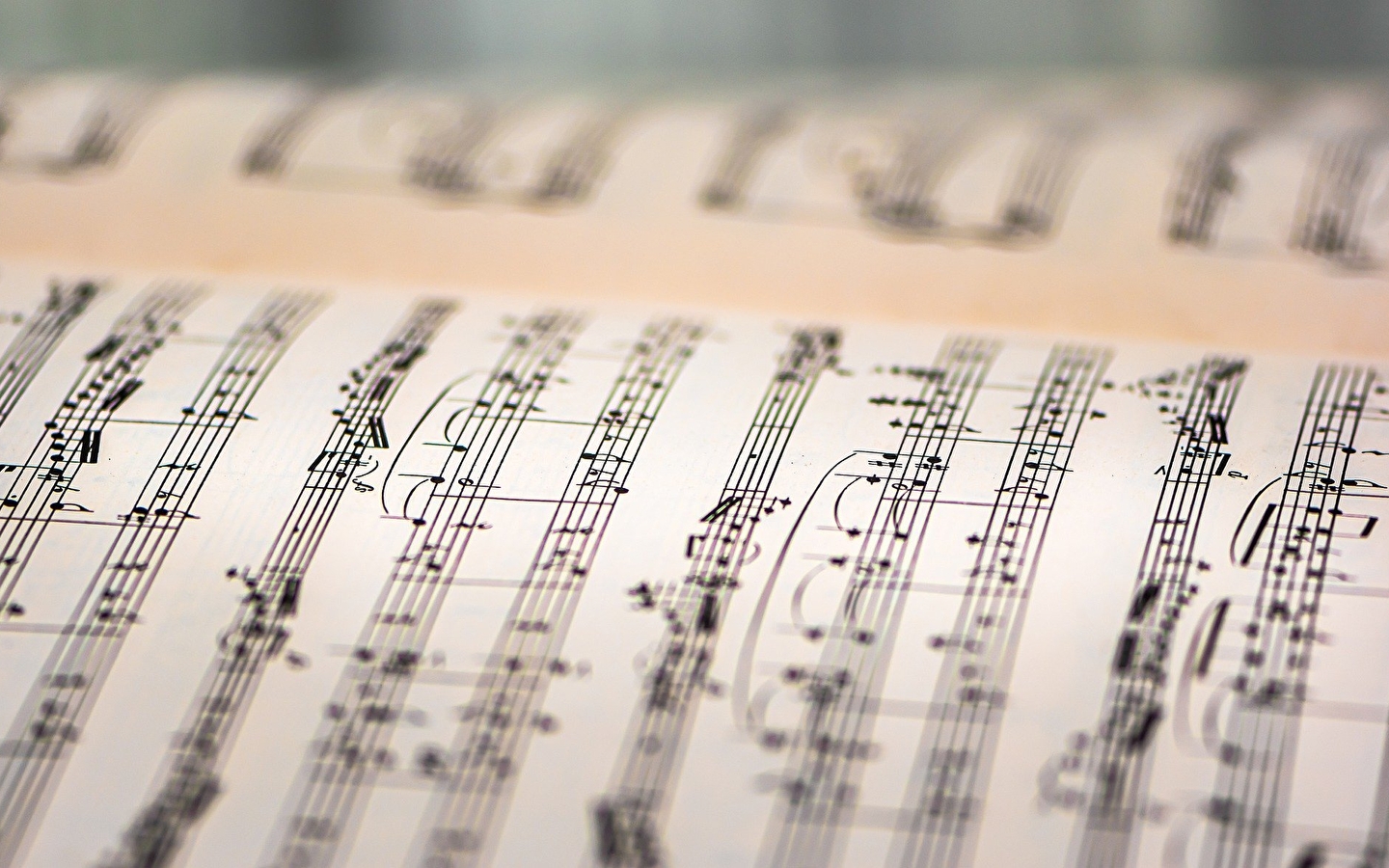 Vol'Ut fête ses 10 ans 