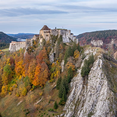Visite guidée du Château de Joux