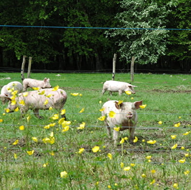 La Ferme du Marais