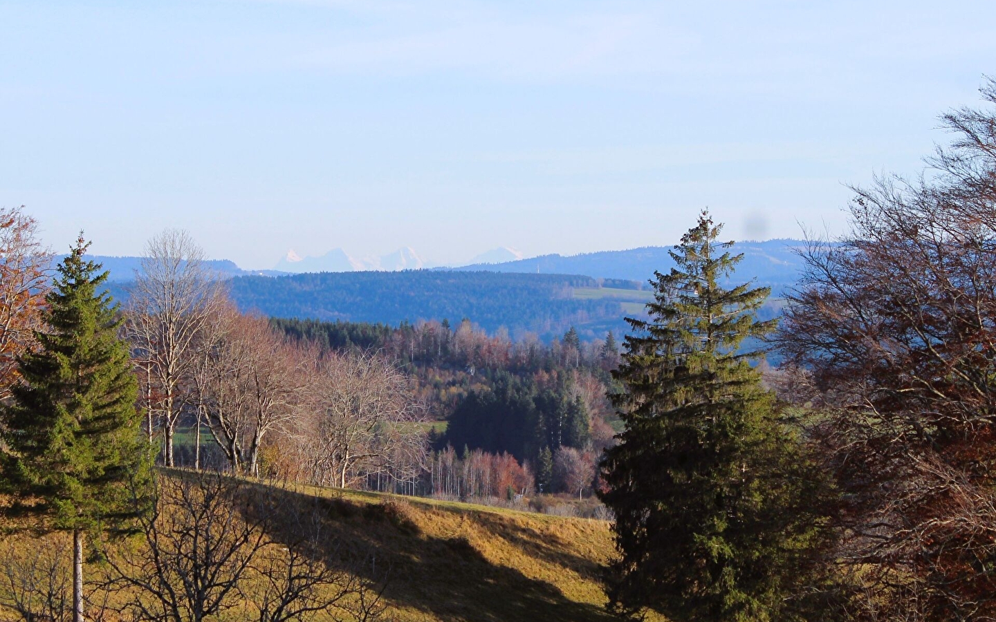 Village Haut