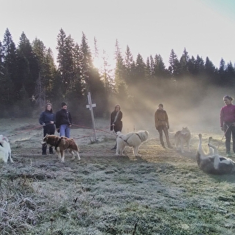 Les Équipages Adam's - CHAUX-NEUVE