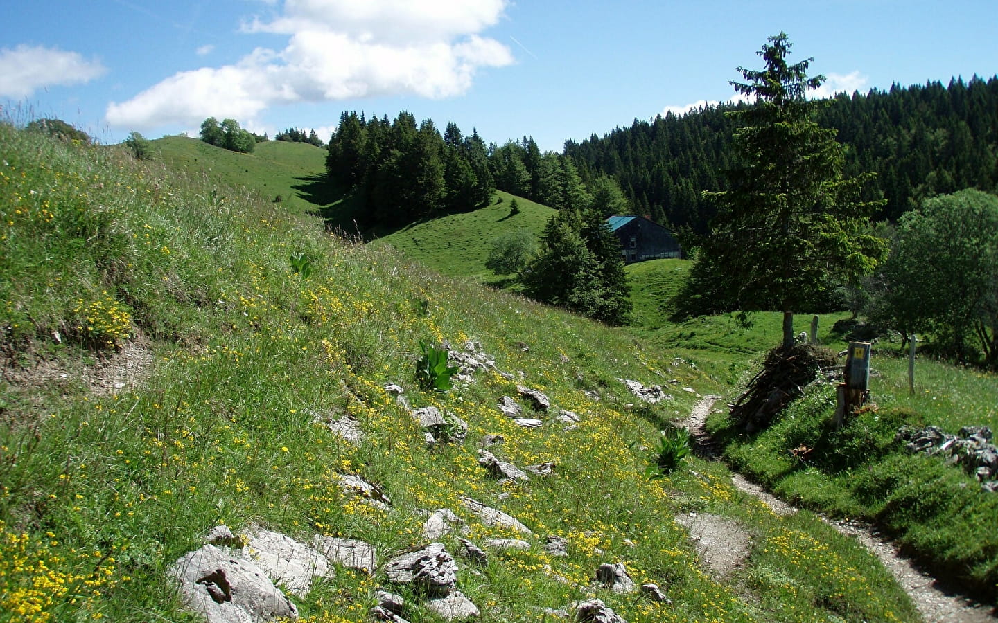 La Grande traversée du Jura à pied - GTJ pédestre