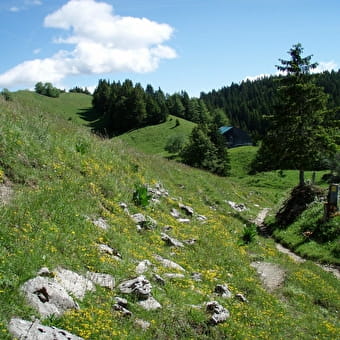 La Grande traversée du Jura à pied - GTJ pédestre - MANDEURE