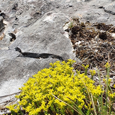 Randonnée - Donjon de Buenc, Sur le Mont