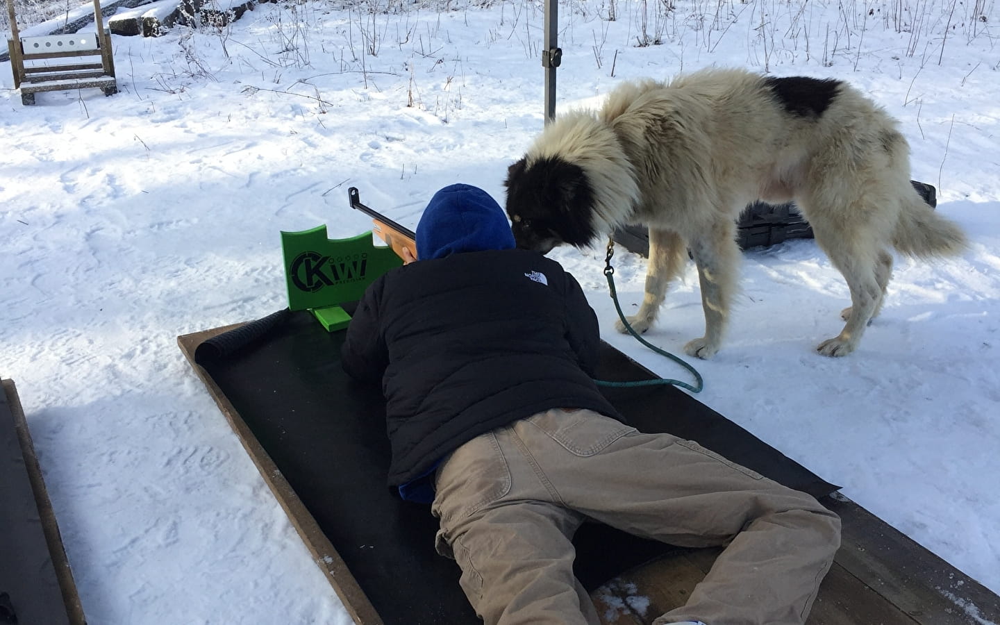 Cani-Biathlon