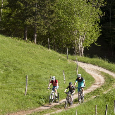 Le tour de Longchaumois - VTT / VTT AE - n°28