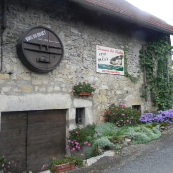 Domaine des Plantaz - CHAZEY-BONS