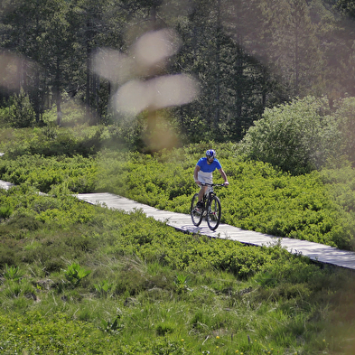 Séjour Rando/bien-être d'automne