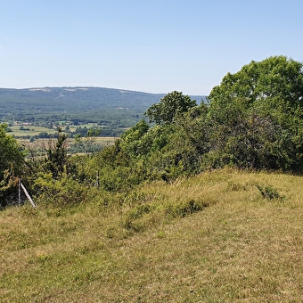 Randonnée - Donjon de Buenc, Sur le Mont - BOHAS-MEYRIAT-RIGNAT