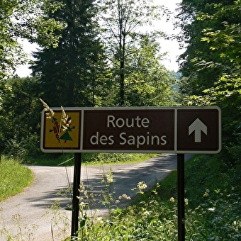 La Route des Sapins - EQUEVILLON