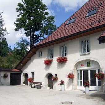Gîte du Petit Sarrageois - Appartement 1 - SARRAGEOIS